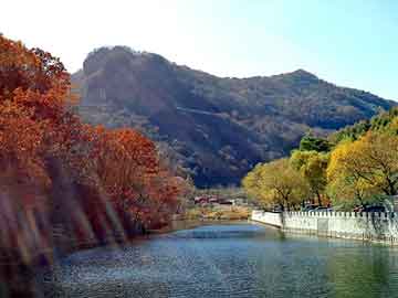 新澳天天开奖资料大全旅游团，上菱冰箱维修电话